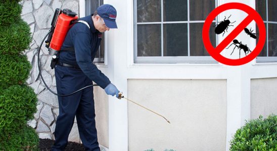 Özalp Pire İlaçlama böcek ilaçlama ve haşere kontrolü — ilaclama-tr.com